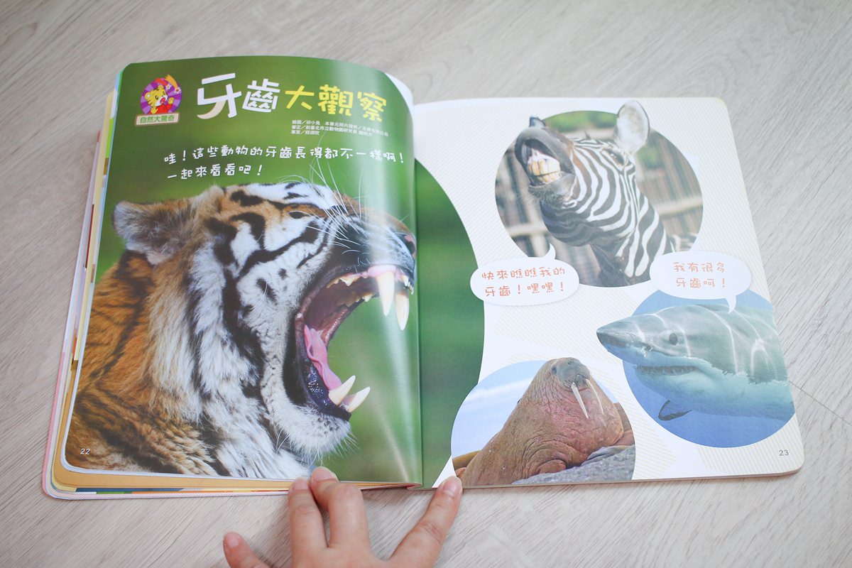 巧連智巧虎月刊~我該訂巧虎嗎?  寶貝成長增加認知、學習生活常規的好朋友