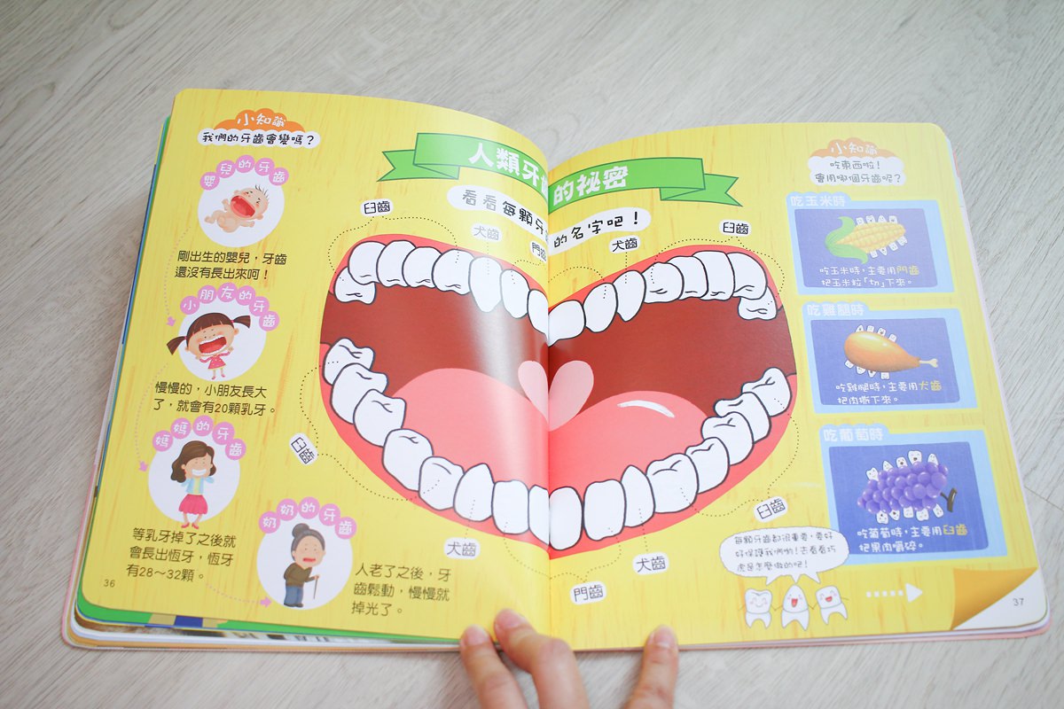巧連智巧虎月刊~我該訂巧虎嗎?  寶貝成長增加認知、學習生活常規的好朋友