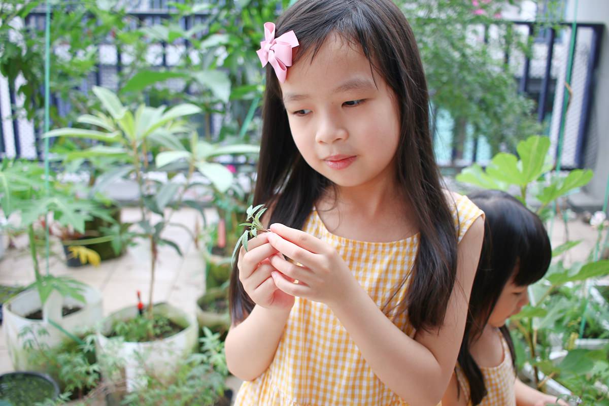 【團購】法國帕洛防蚊Parakito 防蚊手環、天然防蚊液 質地舒適、防蚊效果長效持久 - 第26張圖 【團購】法國帕洛防蚊Parakito 防蚊手環、天然防蚊液 質地舒適、防蚊效果長效持久