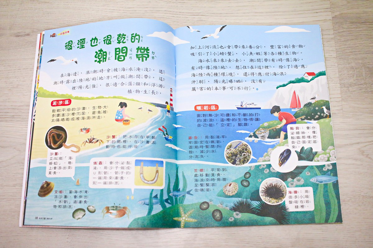 【團購】未來兒童、未來少年 打開孩子的視野、開啟知識大門的優良讀物 - 第5張圖 【團購】未來兒童、未來少年 打開孩子的視野、開啟知識大門的優良讀物