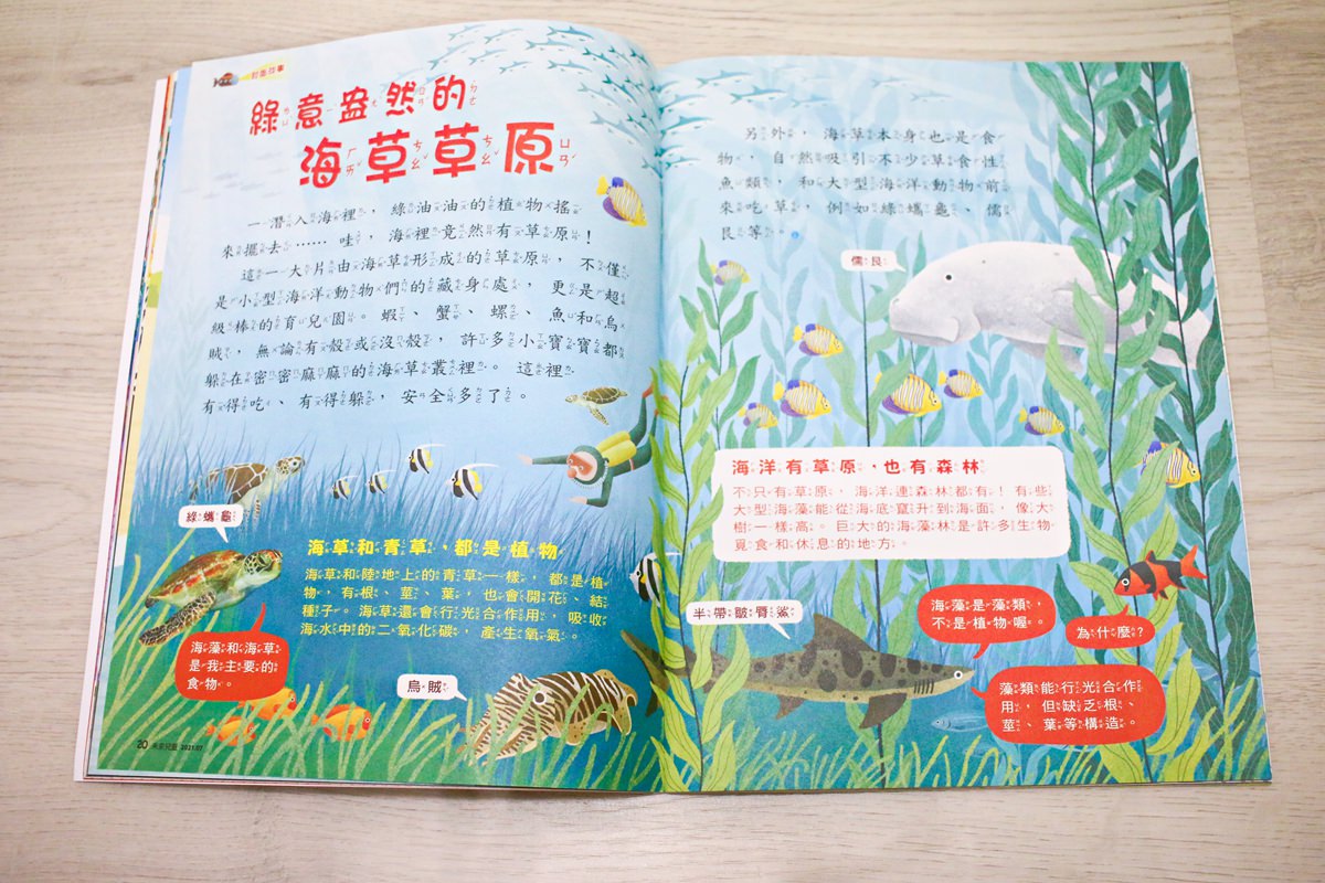 【團購】未來兒童、未來少年 打開孩子的視野、開啟知識大門的優良讀物 - 第6張圖 【團購】未來兒童、未來少年 打開孩子的視野、開啟知識大門的優良讀物