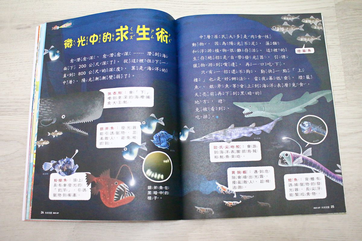 【團購】未來兒童、未來少年 打開孩子的視野、開啟知識大門的優良讀物 - 第8張圖 【團購】未來兒童、未來少年 打開孩子的視野、開啟知識大門的優良讀物