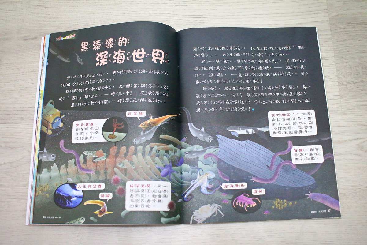 【團購】未來兒童、未來少年 打開孩子的視野、開啟知識大門的優良讀物 - 第9張圖 【團購】未來兒童、未來少年 打開孩子的視野、開啟知識大門的優良讀物