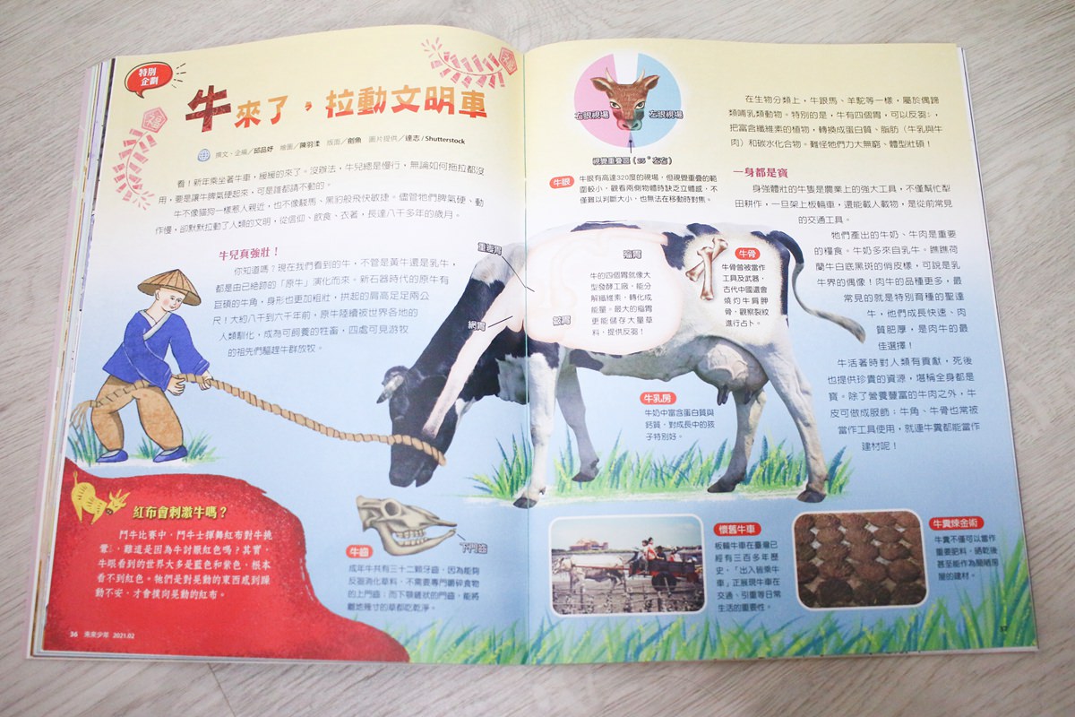 【團購】未來兒童、未來少年 打開孩子的視野、開啟知識大門的優良讀物 - 第36張圖 【團購】未來兒童、未來少年 打開孩子的視野、開啟知識大門的優良讀物