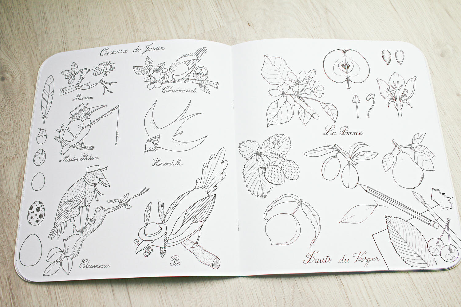 【團購】法國Moulin Roty故事手電筒 童趣、夢幻、讓孩子發揮想像力、創造力、增進語言能力的好物
