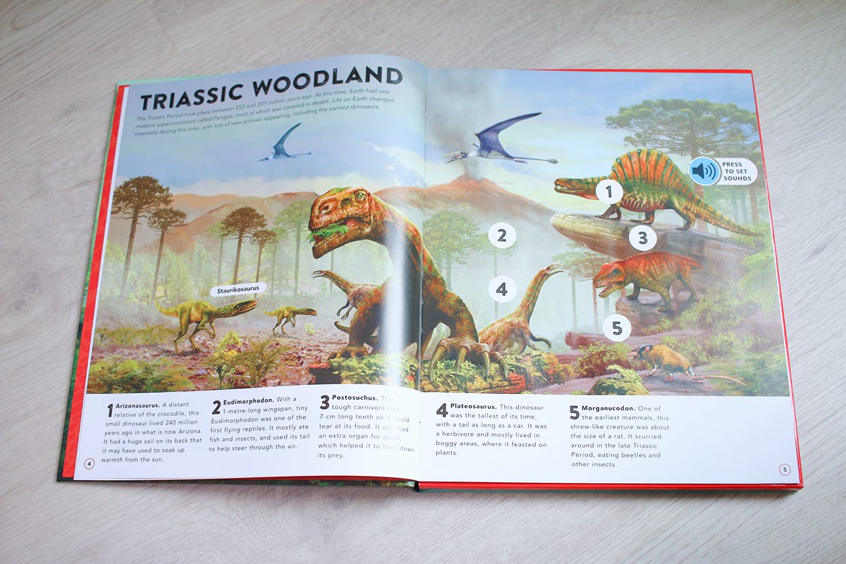 【團購】英文繪本親子共讀團 PART.5