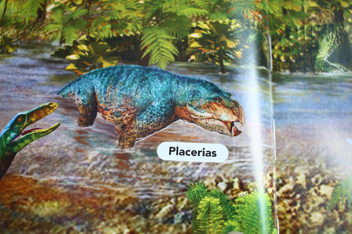 【團購】英文繪本親子共讀團 PART.5