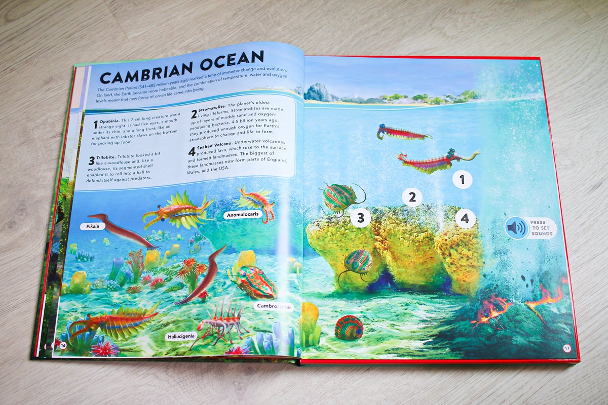 【團購】英文繪本親子共讀團 PART.5