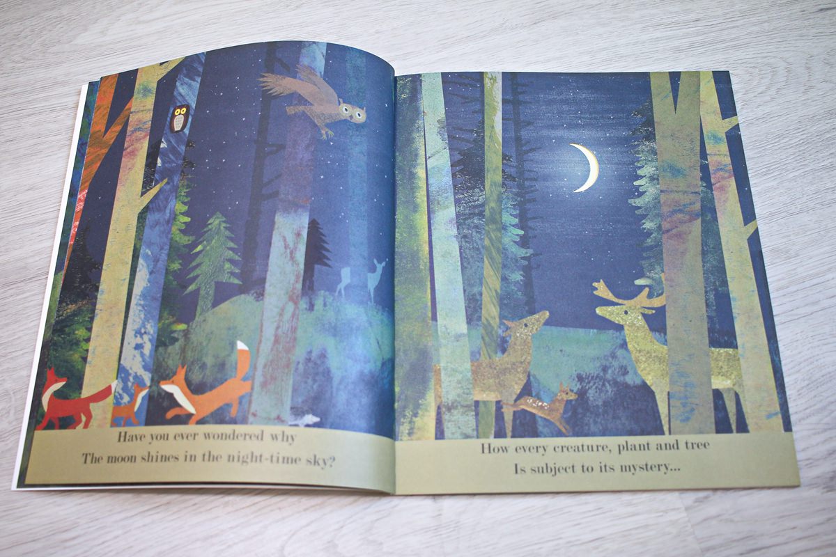 【團購】英文繪本親子共讀團 PART.5