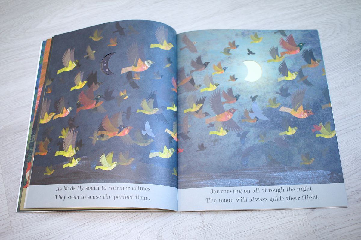 【團購】英文繪本親子共讀團 PART.5