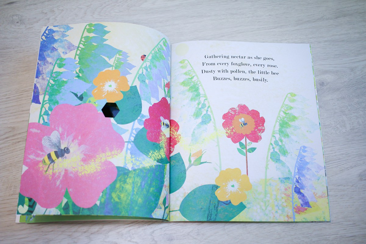 【團購】英文繪本親子共讀團 PART.5