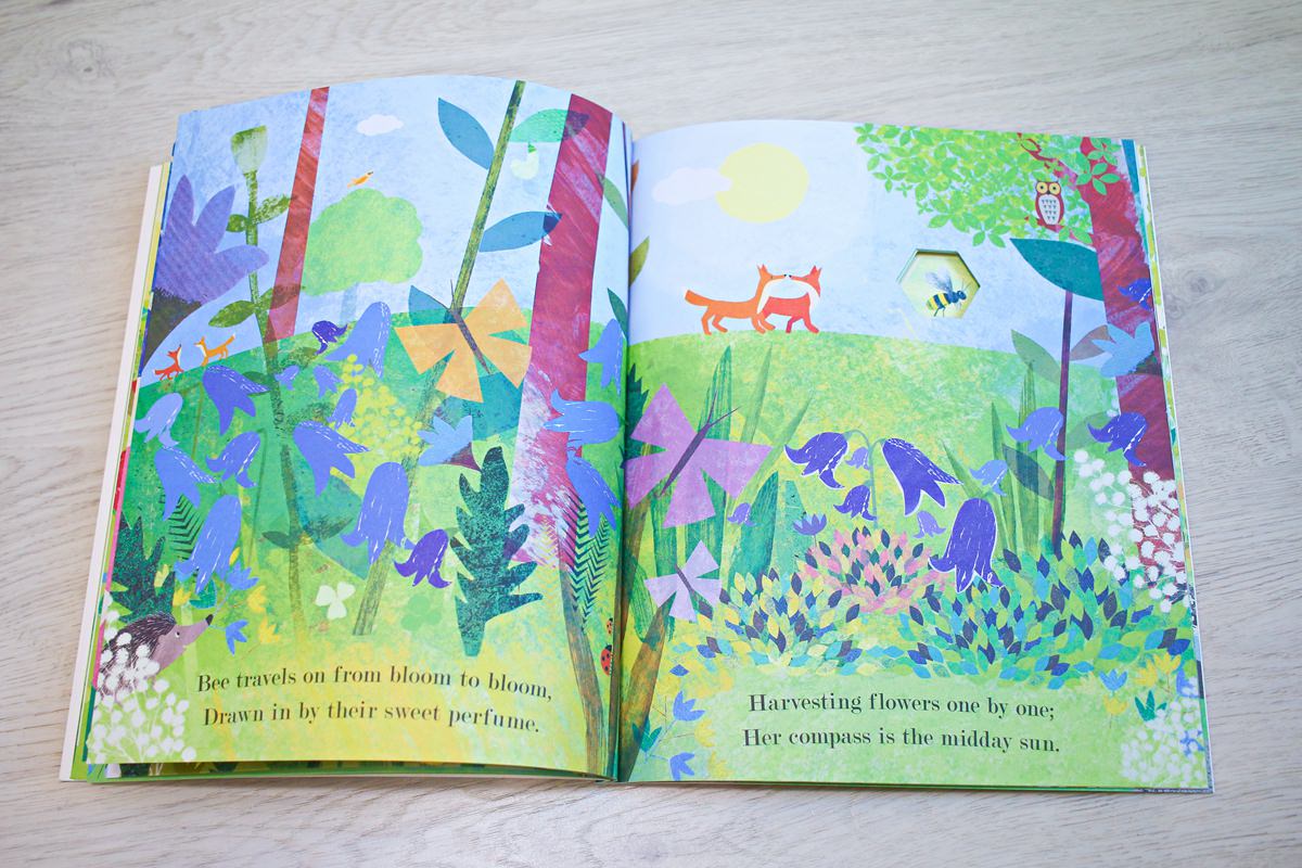 【團購】英文繪本親子共讀團 PART.5