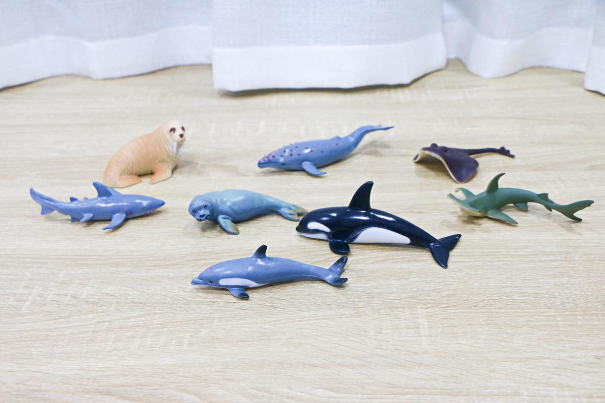 西班牙Miniland拼豆教學組和動物星球 - 第87張圖 西班牙miniland41