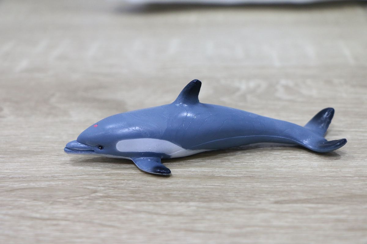 西班牙Miniland拼豆教學組和動物星球 - 第91張圖 西班牙miniland45