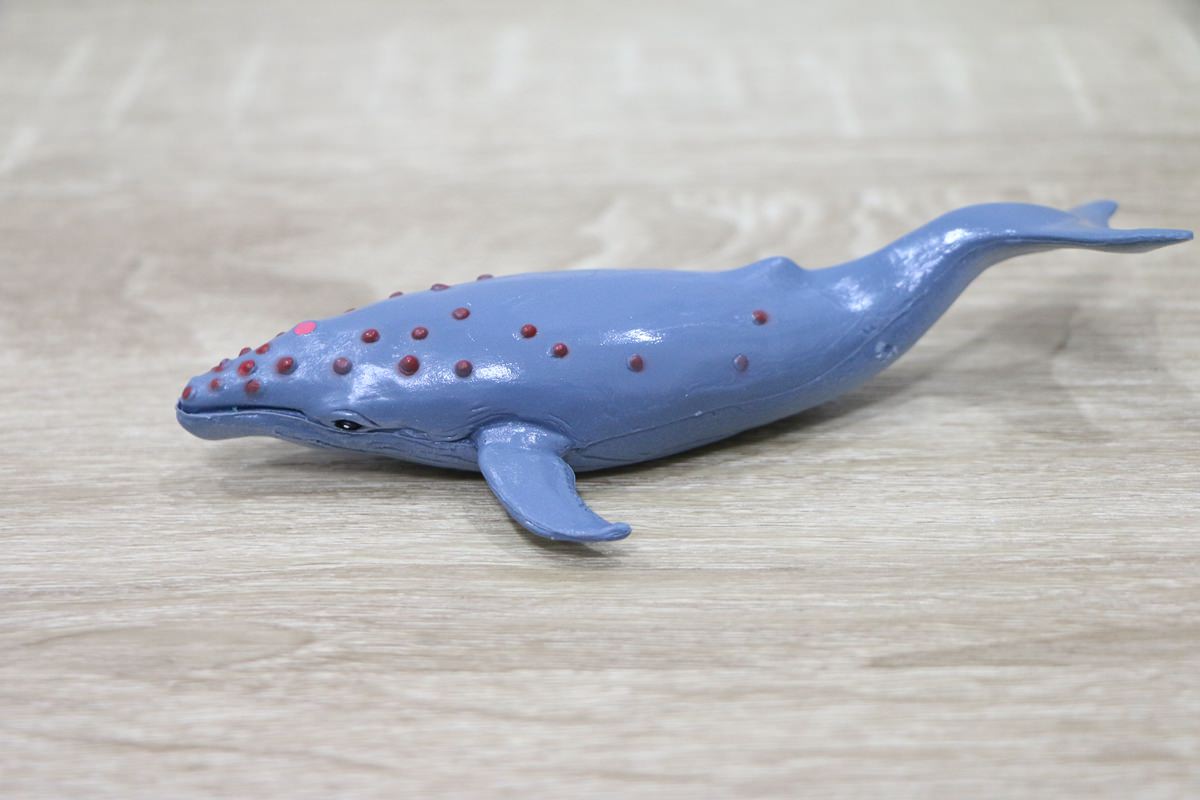 西班牙Miniland拼豆教學組和動物星球 - 第94張圖 西班牙miniland46