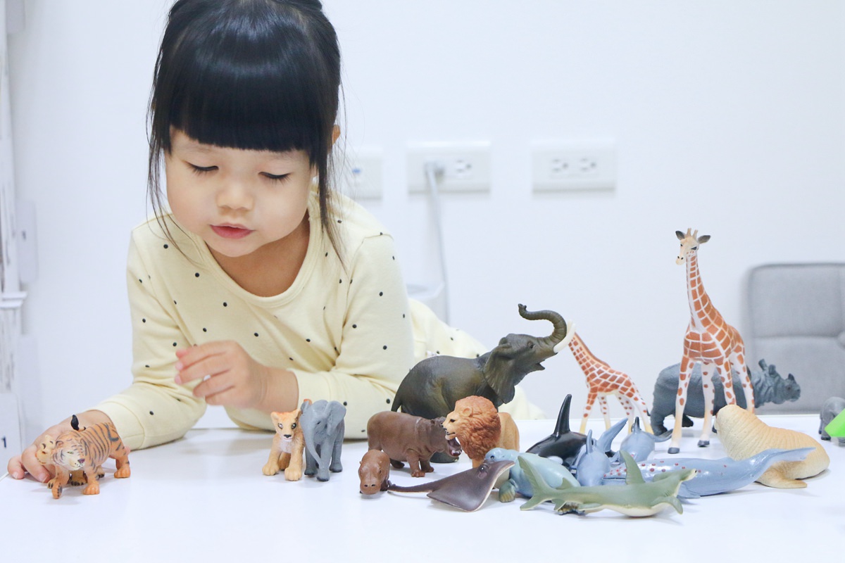 西班牙Miniland拼豆教學組和動物星球 - 第1張圖 西班牙miniland55