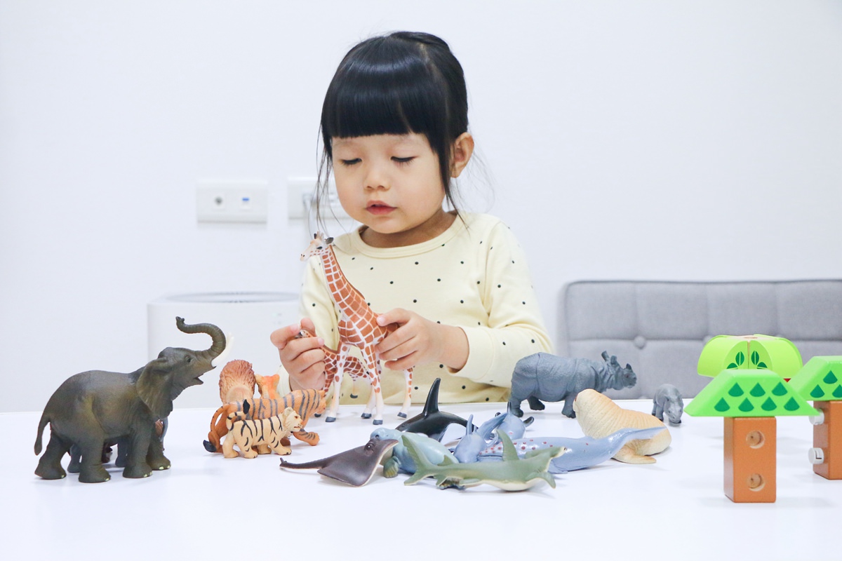 西班牙Miniland拼豆教學組和動物星球 - 第97張圖 西班牙miniland58