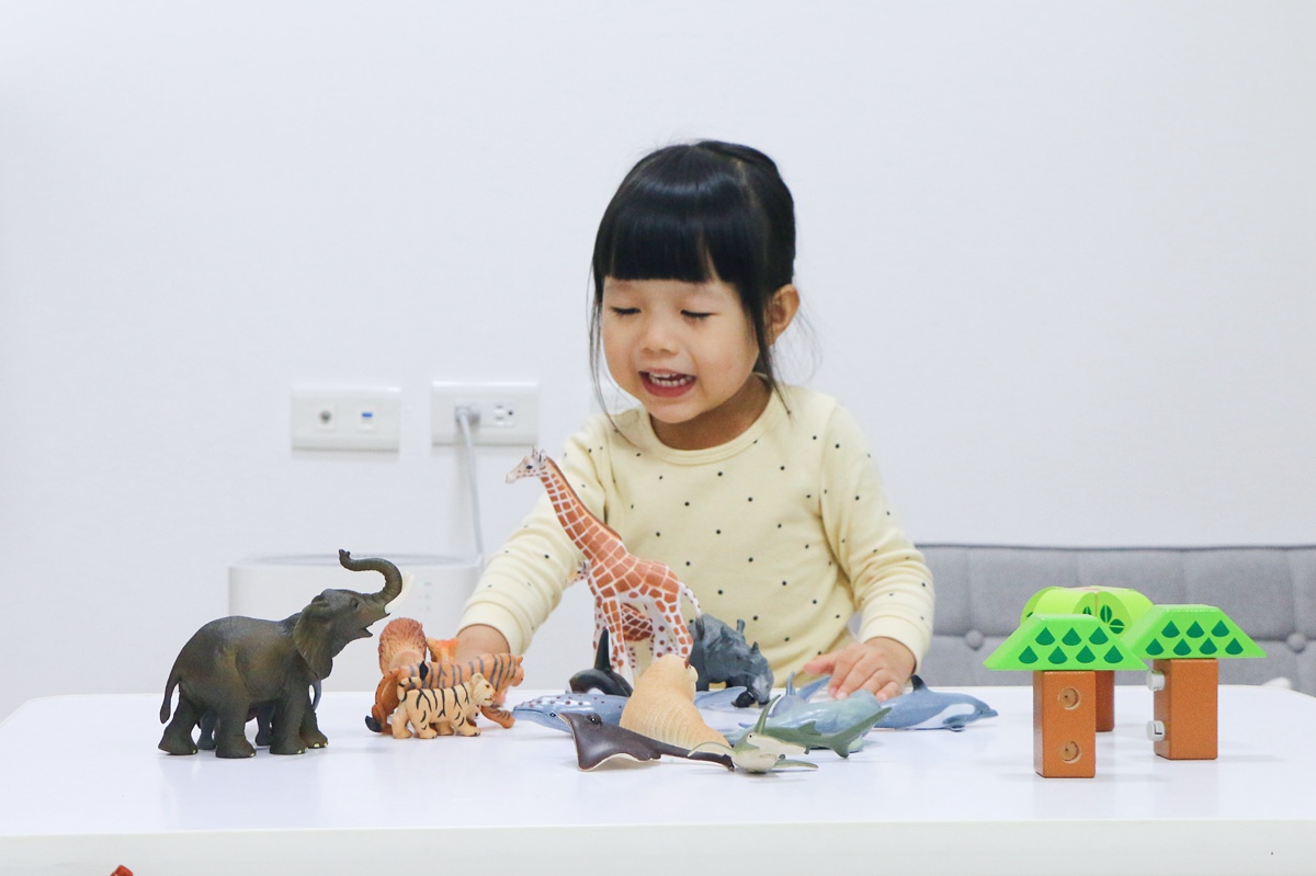 西班牙Miniland拼豆教學組和動物星球 - 第103張圖 西班牙miniland60