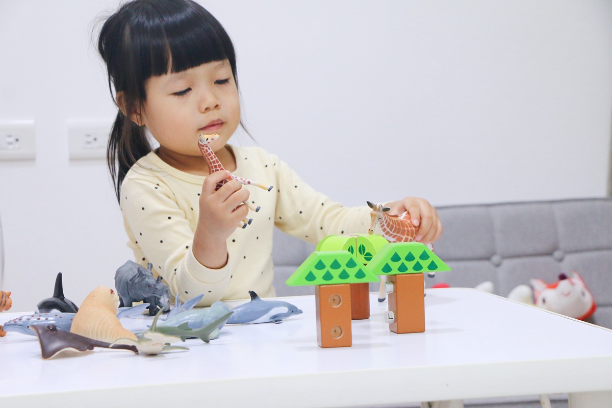 西班牙Miniland拼豆教學組和動物星球 - 第98張圖 西班牙miniland63