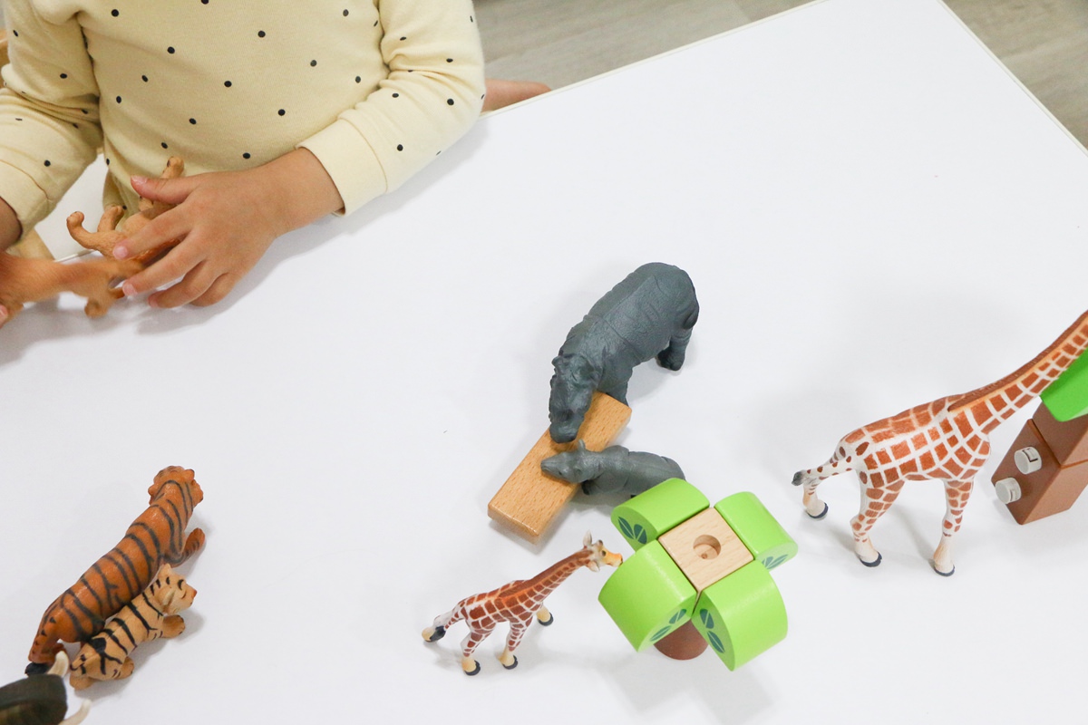 西班牙Miniland拼豆教學組和動物星球 - 第101張圖 西班牙miniland68