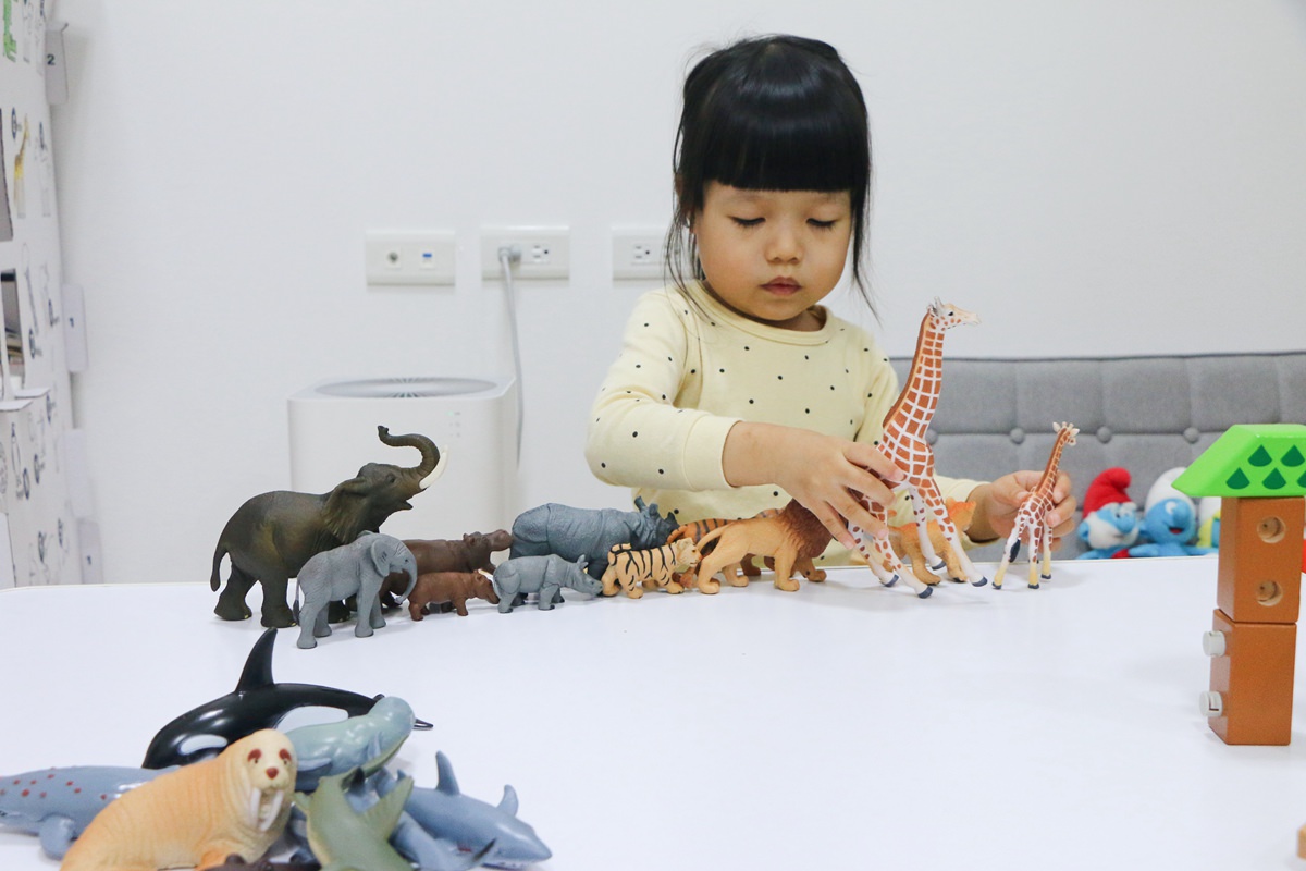 西班牙Miniland拼豆教學組和動物星球 - 第104張圖 西班牙miniland72