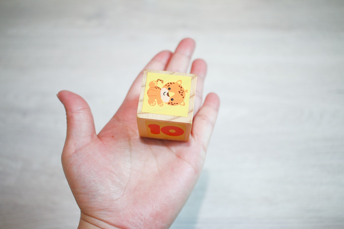 費雪木製教具VS. 哈利波特Harry Potter3D立體拼圖