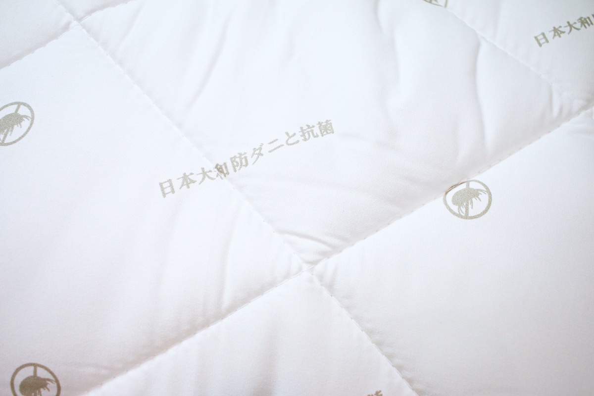 金安德森幼兒園睡墊(兒童睡袋)  討喜的圖案、很舒適的材質