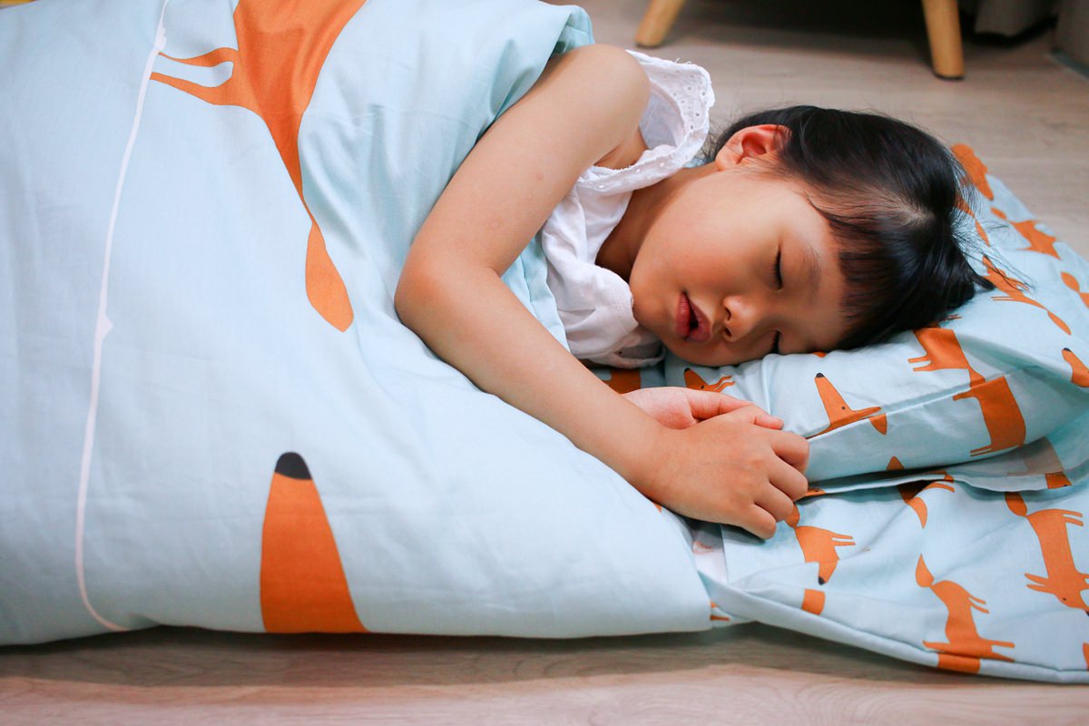 金安德森幼兒園睡墊(兒童睡袋)  討喜的圖案、很舒適的材質