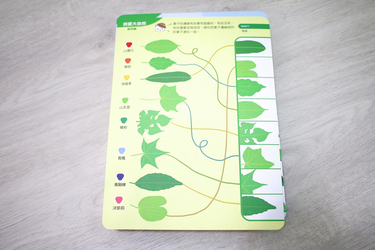 【團購】青林5G智能學習寶 培養孩子主動思考、增進邏輯的好物