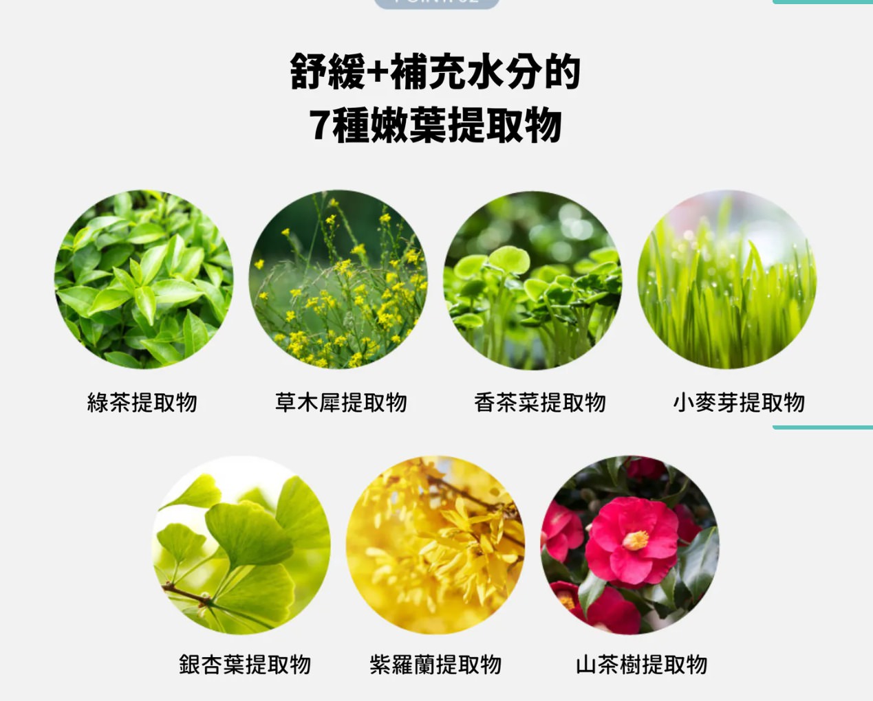 【團購】韓國Mongdies 神經醯胺乳液x防曬 溫和、保濕效果好,敏感皮膚也適用 - 第63張圖 【團購】韓國Mongdies 神經醯胺乳液x防曬 溫和、保濕效果好,敏感皮膚也適用