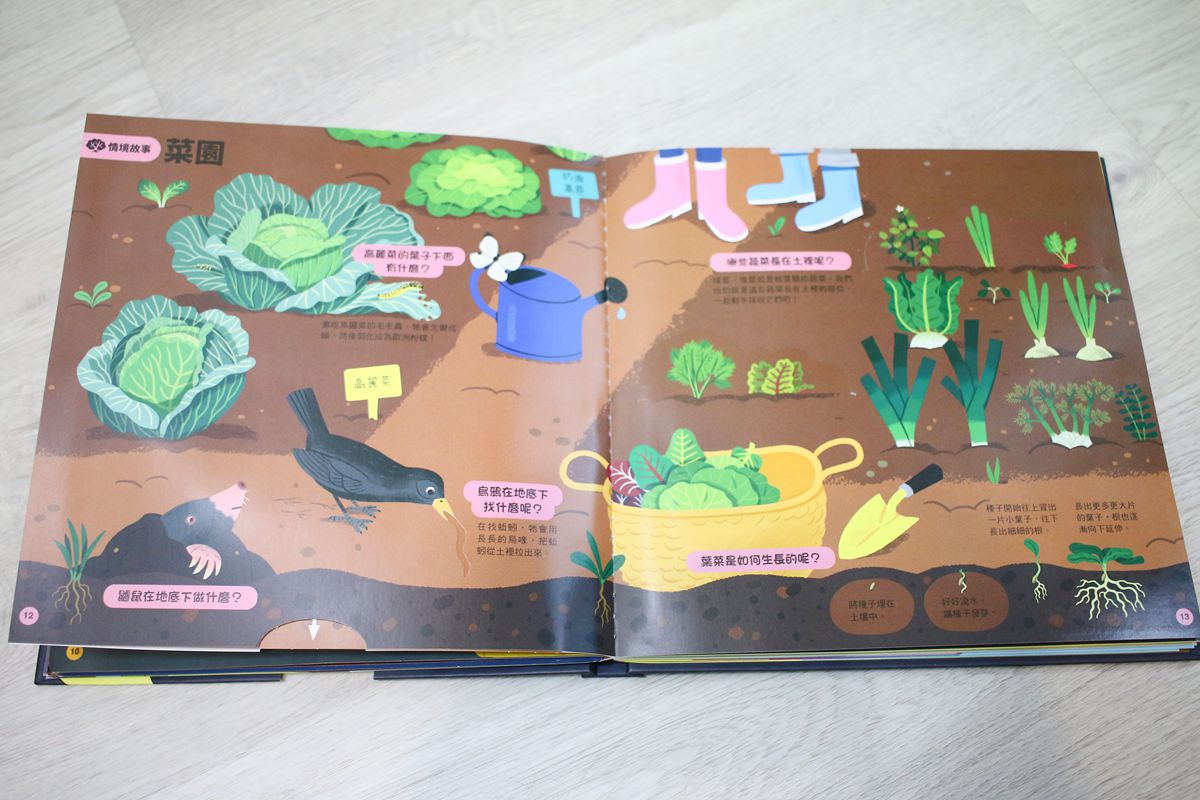 KIDSREAD點讀筆 KiDiDOC 超好玩互動知識書 - 第91張圖 KIDSREAD點讀筆 KiDiDOC 超好玩互動知識書