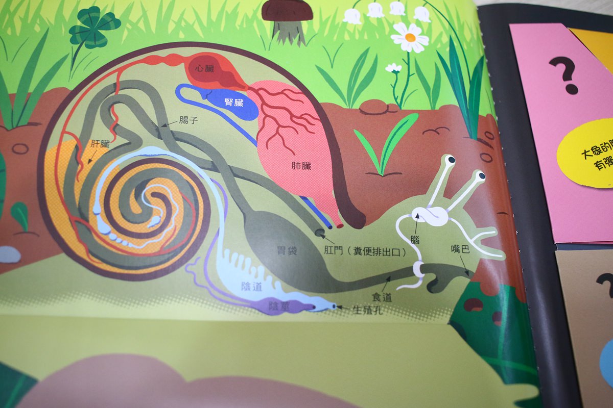 KIDSREAD點讀筆 KiDiDOC 超好玩互動知識書 - 第93張圖 KIDSREAD點讀筆 KiDiDOC 超好玩互動知識書