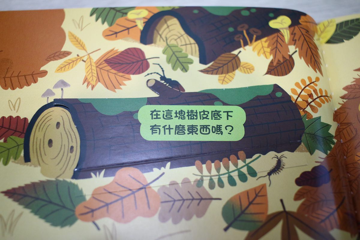 KIDSREAD點讀筆 KiDiDOC 超好玩互動知識書 - 第96張圖 KIDSREAD點讀筆 KiDiDOC 超好玩互動知識書