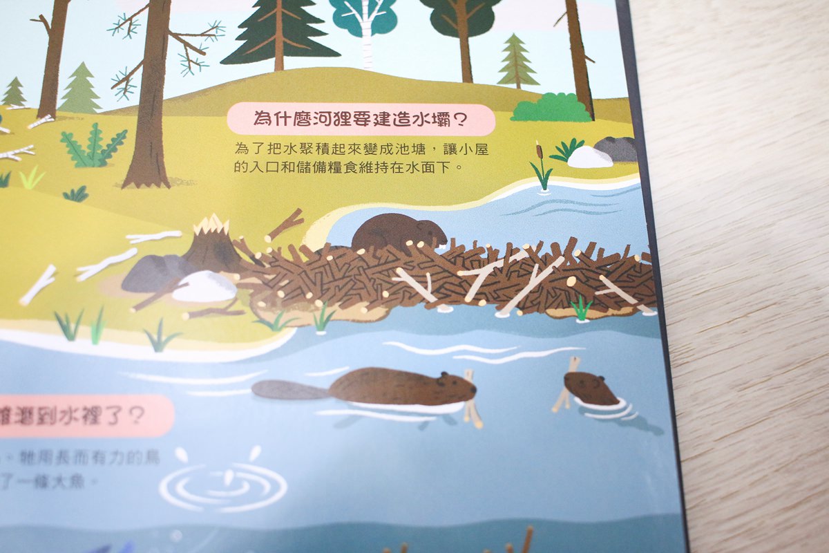 KIDSREAD點讀筆 KiDiDOC 超好玩互動知識書