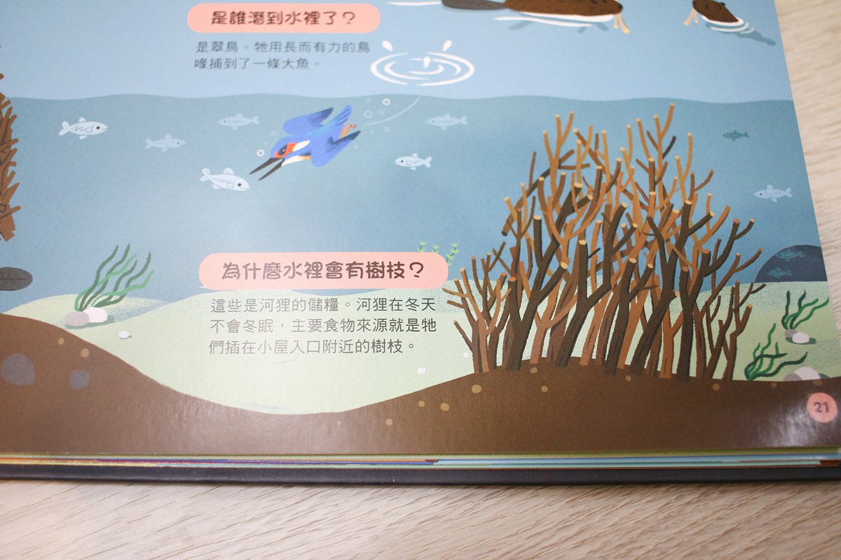 KIDSREAD點讀筆 KiDiDOC 超好玩互動知識書 - 第100張圖 KIDSREAD點讀筆 KiDiDOC 超好玩互動知識書