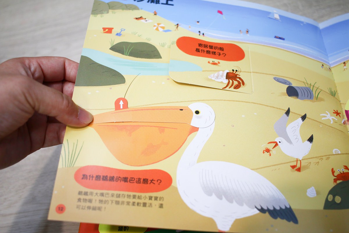 KIDSREAD點讀筆 KiDiDOC 超好玩互動知識書