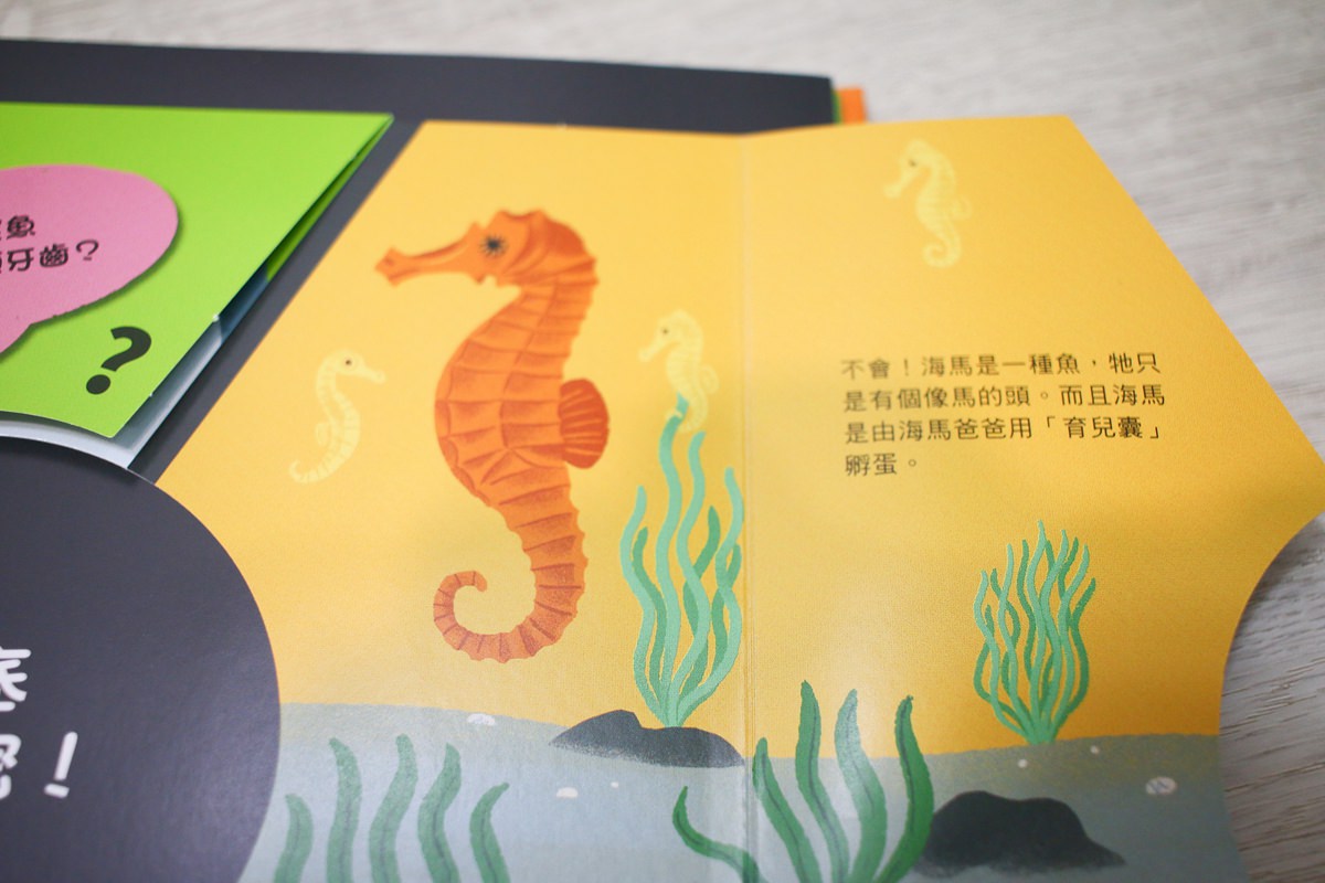 KIDSREAD點讀筆 KiDiDOC 超好玩互動知識書 - 第31張圖 KIDSREAD點讀筆 KiDiDOC 超好玩互動知識書