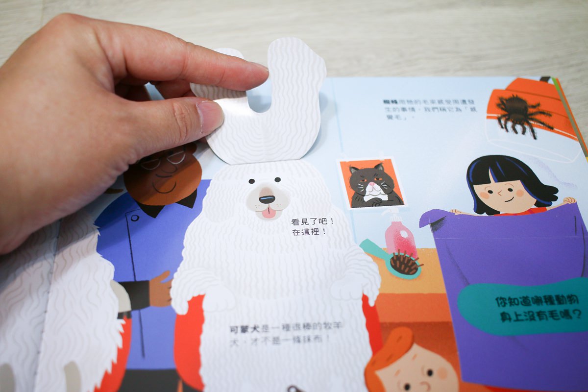 KIDSREAD點讀筆 KiDiDOC 超好玩互動知識書 - 第72張圖 KIDSREAD點讀筆 KiDiDOC 超好玩互動知識書