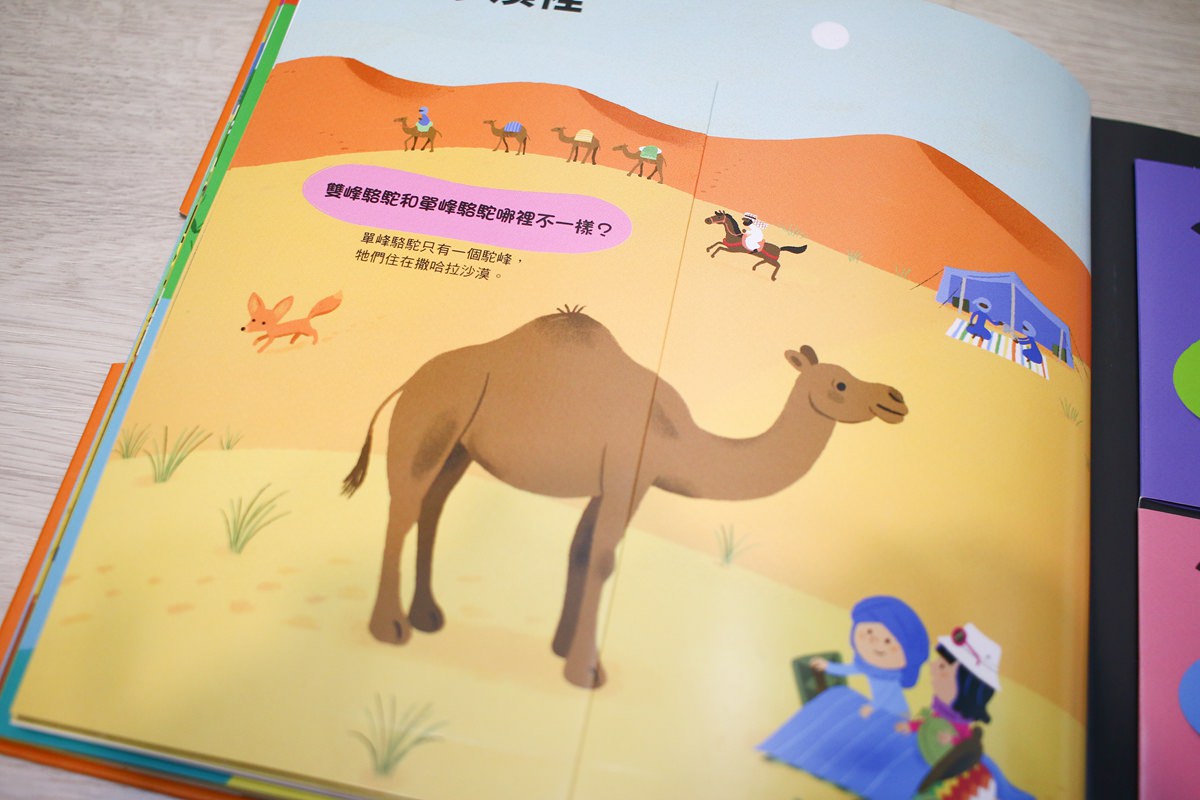 KIDSREAD點讀筆 KiDiDOC 超好玩互動知識書 - 第78張圖 KIDSREAD點讀筆 KiDiDOC 超好玩互動知識書