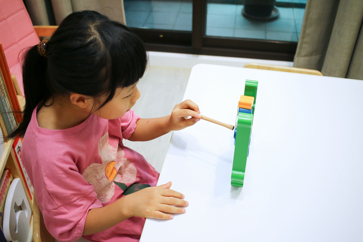 荷蘭BS 戶外遊戲與益智桌遊