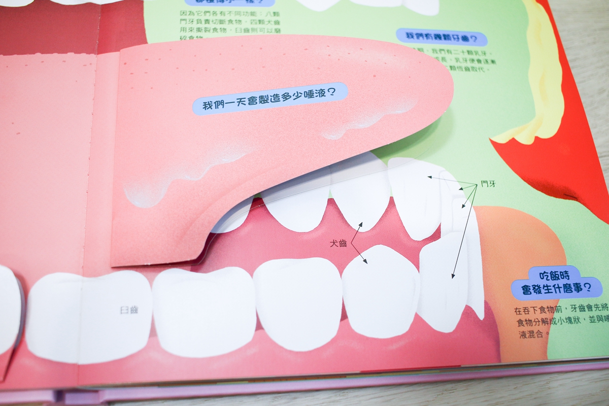 KIDSREAD 點讀筆 KiDiDOC 超好玩互動知識書 第2輯