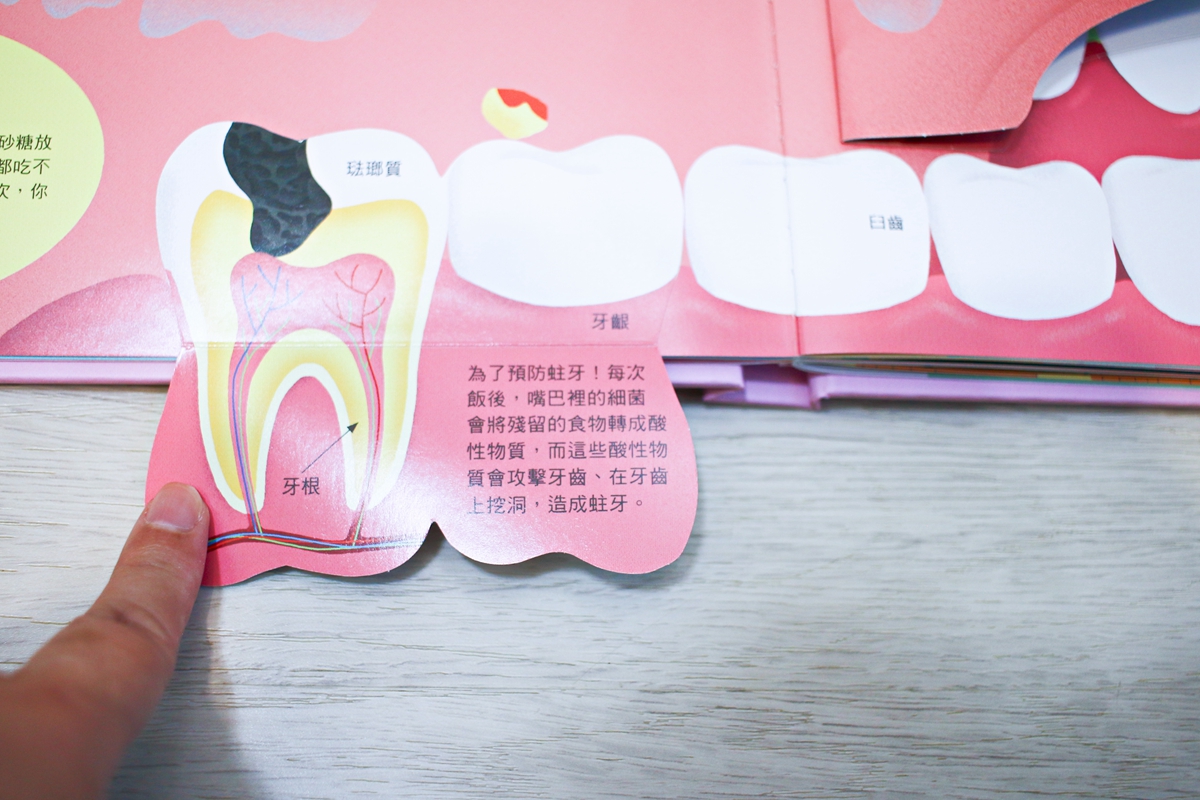 KIDSREAD 點讀筆 KiDiDOC 超好玩互動知識書 第2輯