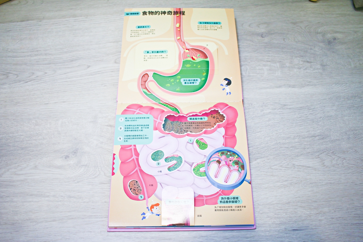 KIDSREAD 點讀筆 KiDiDOC 超好玩互動知識書 第2輯