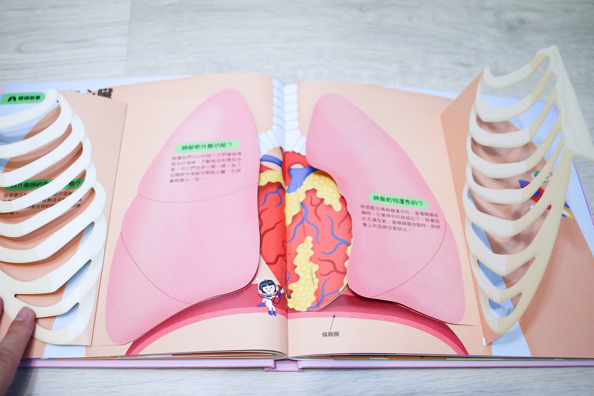 KIDSREAD 點讀筆 KiDiDOC 超好玩互動知識書 第2輯