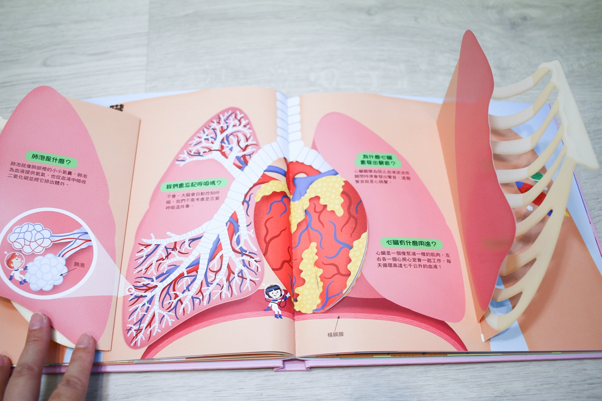 KIDSREAD 點讀筆 KiDiDOC 超好玩互動知識書 第2輯