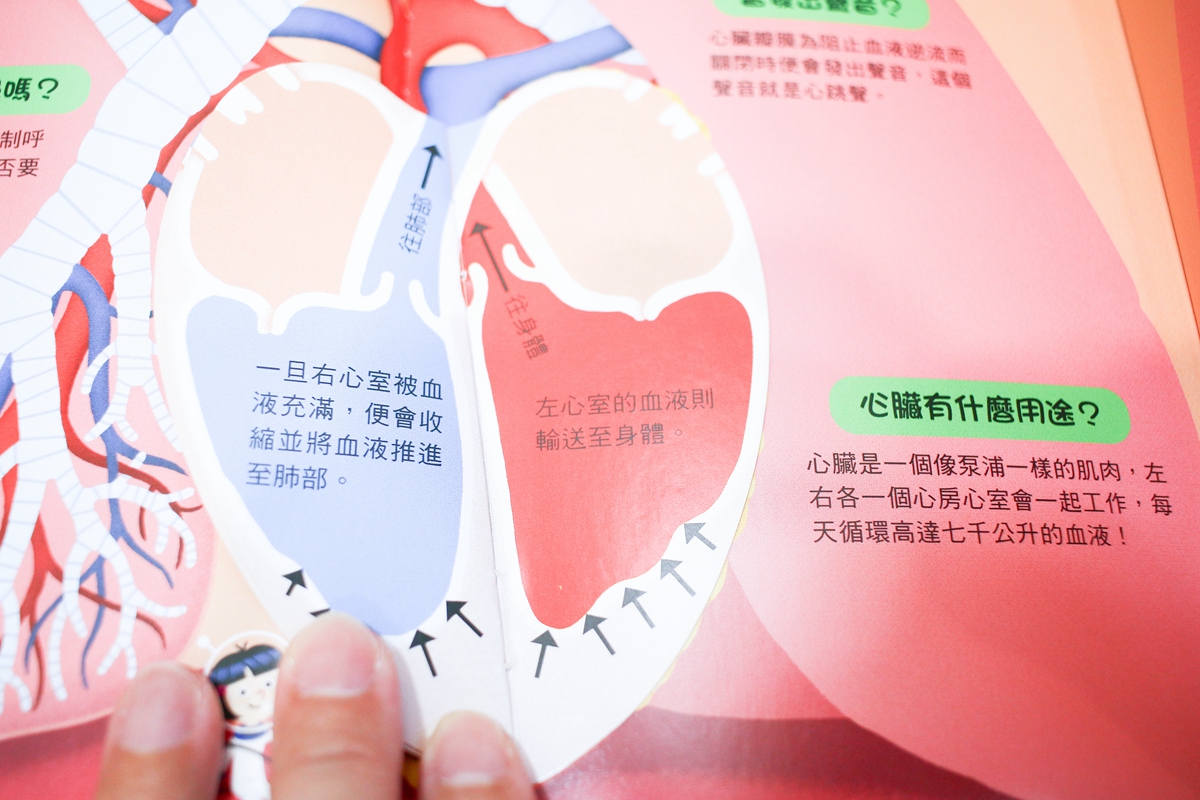 KIDSREAD 點讀筆 KiDiDOC 超好玩互動知識書 第2輯