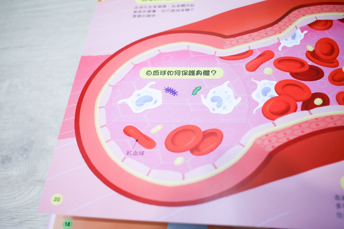 KIDSREAD 點讀筆 KiDiDOC 超好玩互動知識書 第2輯