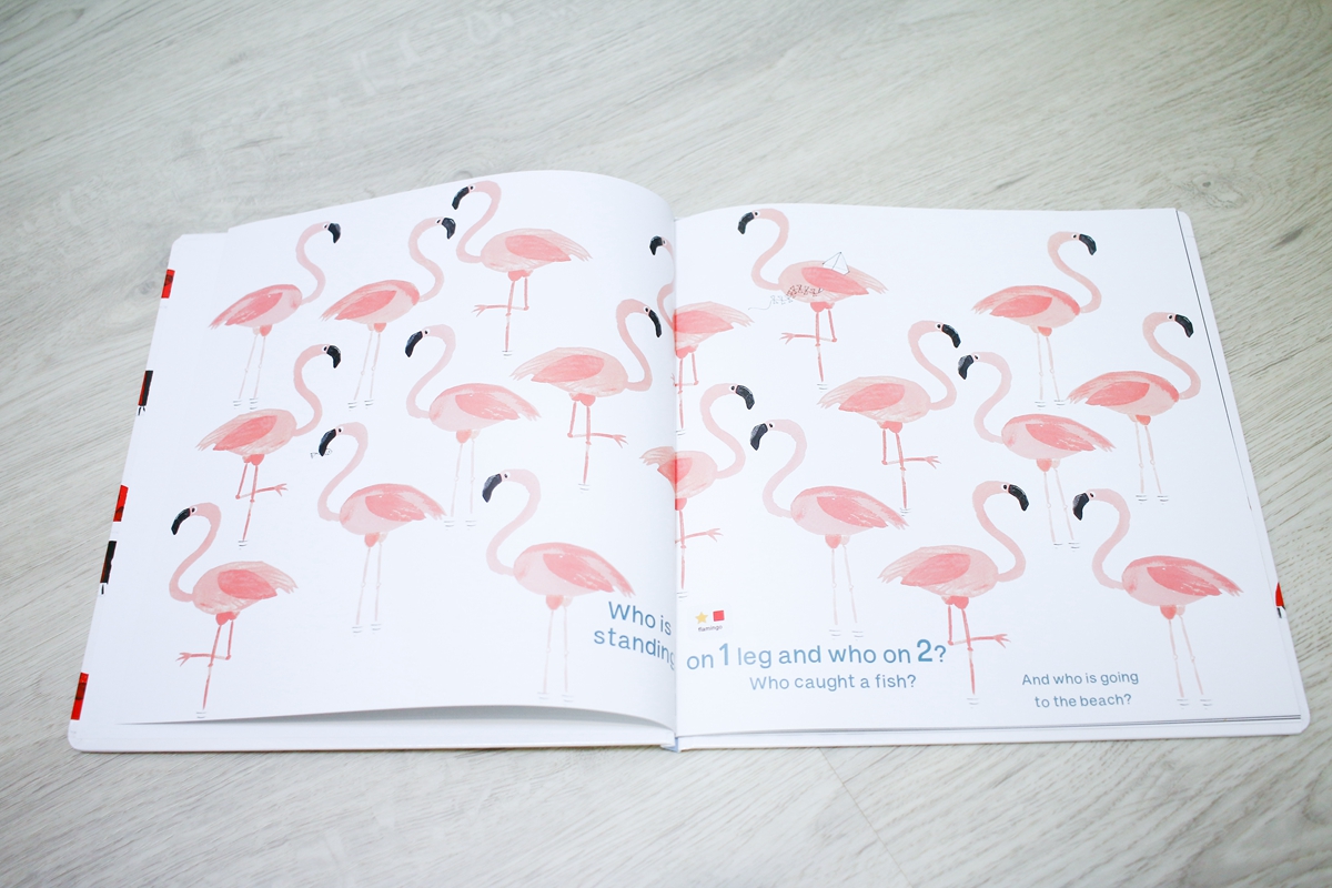 KIDSREAD 點讀筆  Odd One Out 英文益智點讀繪本