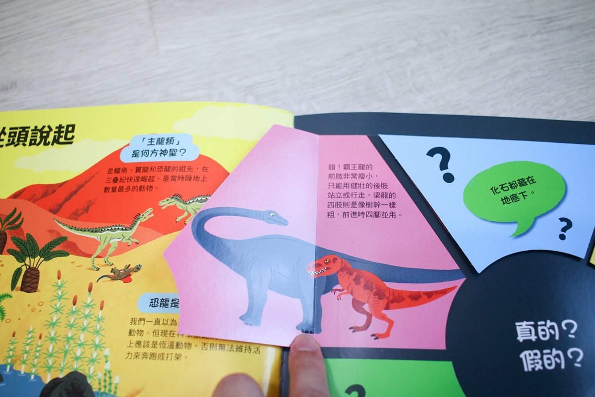 KIDSREAD點讀筆 KiDiDOC 超好玩互動知識書036