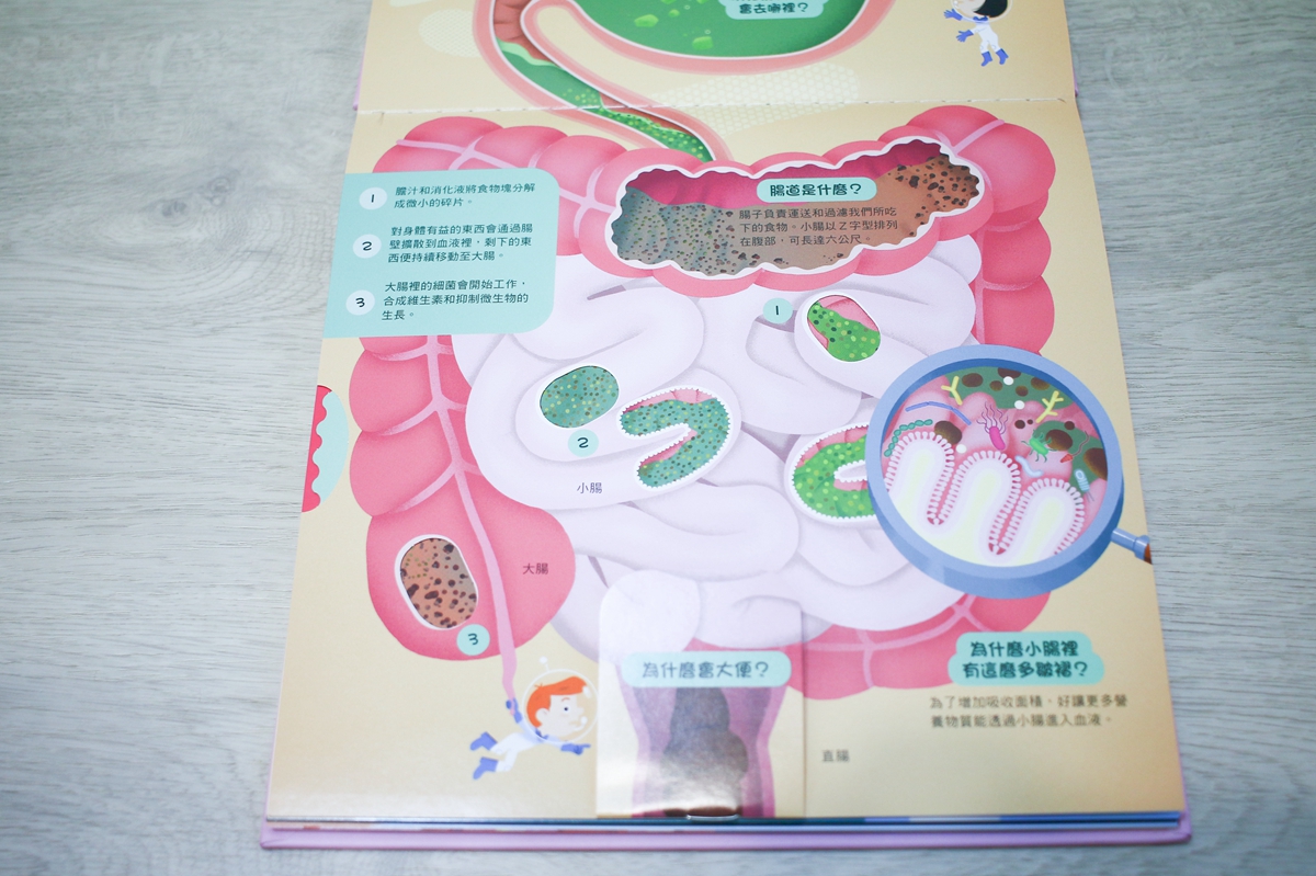 KIDSREAD點讀筆 KiDiDOC 超好玩互動知識書205